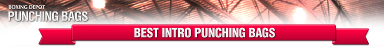 Best Punching Bags