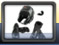 Sparring Gear