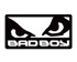 Bad Boy