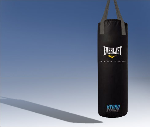 Everlast Hydrostrike Water Foam Heavy Bag